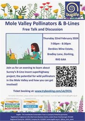  - Mole Valley Pollinators & B-Lines